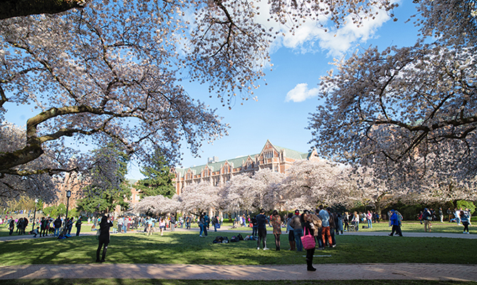 International Student Mobility Data Sources: A Primer